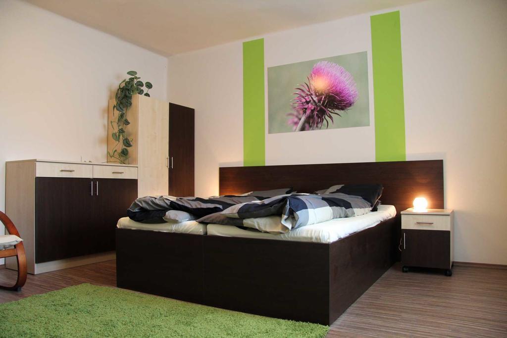 Irisz Apartmanhaz Morahalom Room photo